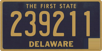 DE license plate 239211