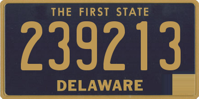 DE license plate 239213