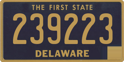 DE license plate 239223