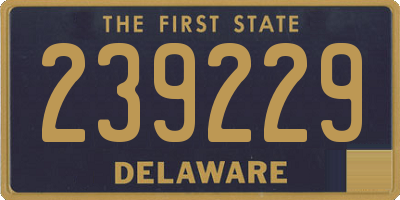 DE license plate 239229