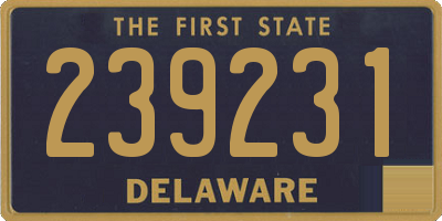 DE license plate 239231