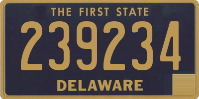 DE license plate 239234