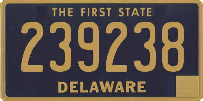 DE license plate 239238
