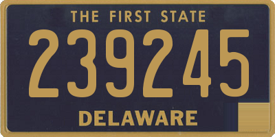 DE license plate 239245