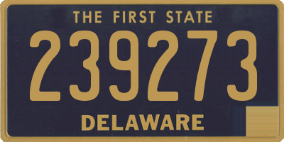 DE license plate 239273