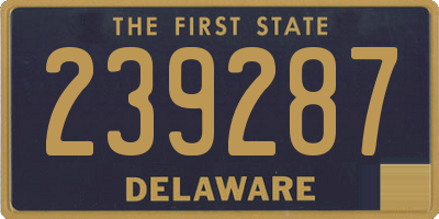 DE license plate 239287