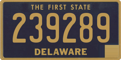 DE license plate 239289