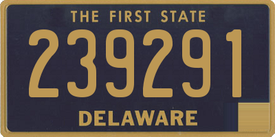 DE license plate 239291