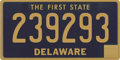 DE license plate 239293