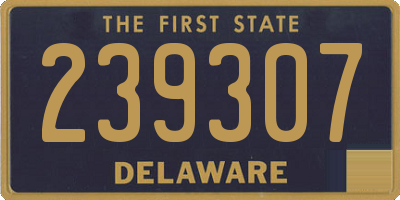 DE license plate 239307