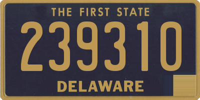 DE license plate 239310