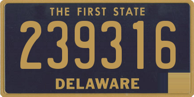 DE license plate 239316