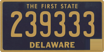 DE license plate 239333