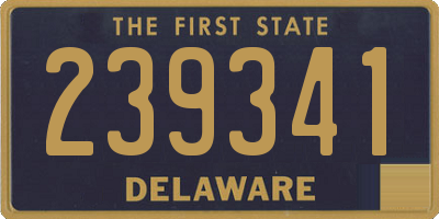 DE license plate 239341