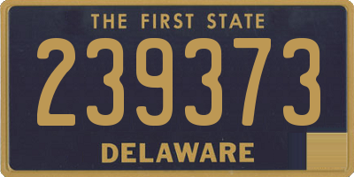 DE license plate 239373