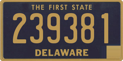 DE license plate 239381