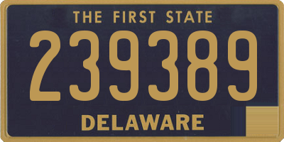 DE license plate 239389