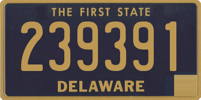 DE license plate 239391