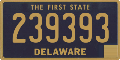 DE license plate 239393