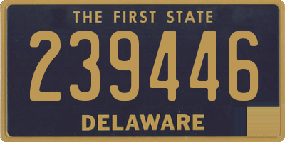 DE license plate 239446