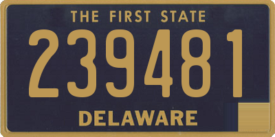 DE license plate 239481