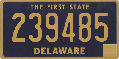 DE license plate 239485