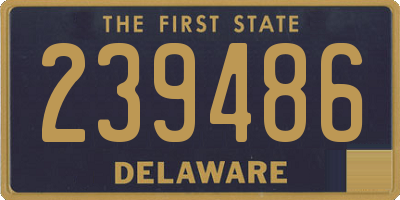 DE license plate 239486
