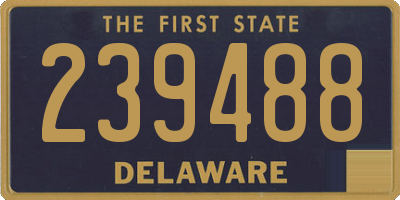 DE license plate 239488