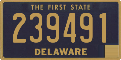 DE license plate 239491