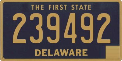 DE license plate 239492