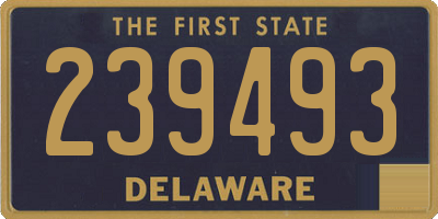 DE license plate 239493