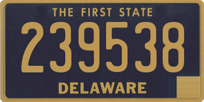 DE license plate 239538