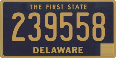 DE license plate 239558