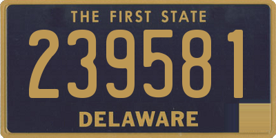 DE license plate 239581