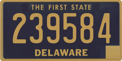 DE license plate 239584