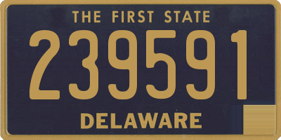 DE license plate 239591