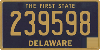 DE license plate 239598