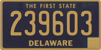 DE license plate 239603