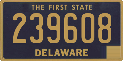 DE license plate 239608
