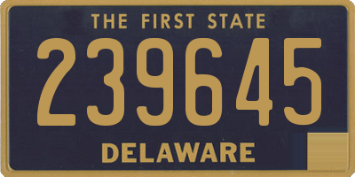 DE license plate 239645