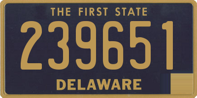 DE license plate 239651