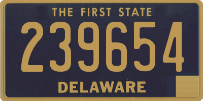 DE license plate 239654