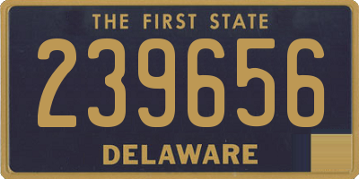 DE license plate 239656