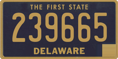 DE license plate 239665