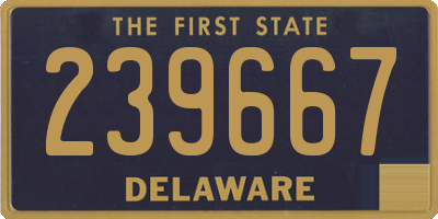 DE license plate 239667