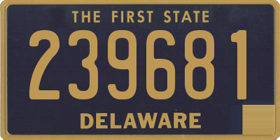 DE license plate 239681