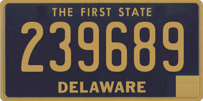 DE license plate 239689