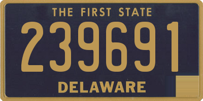 DE license plate 239691