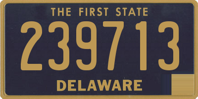 DE license plate 239713