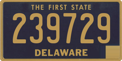 DE license plate 239729